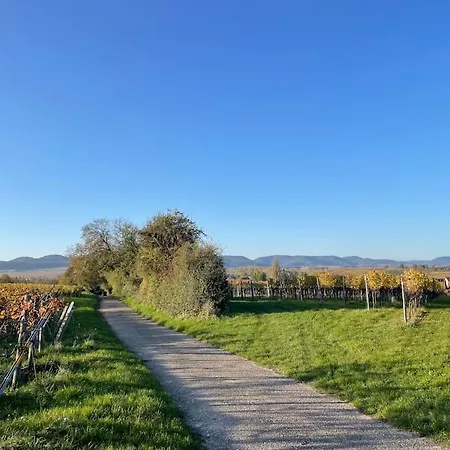 بيت للعطل Weinland Life