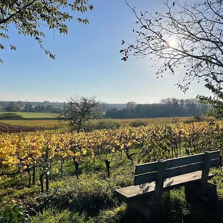 Weinland Life